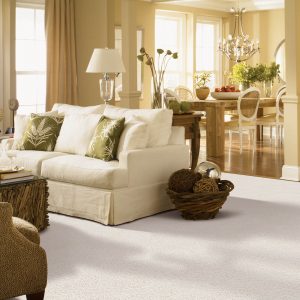 Carpet Flooring | BMG Flooring & Tile Center