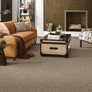 Carpet Inspiration Gallery | BMG Flooring & Tile Center