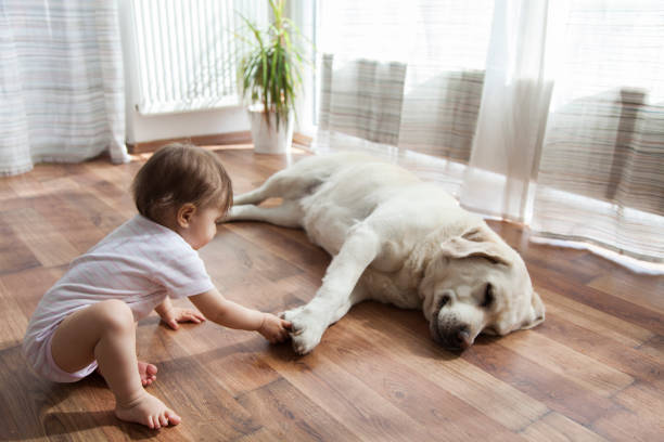 Baby with dog | BMG Flooring & Tile Center